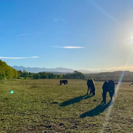 Mobil-home 3 Pièces Avec Terrasse à - Api-1-52-1043 Campeggio *